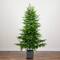 7ft. Norfolk Island Pine Real Touch Artificial Christmas Tree